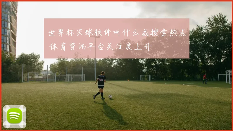 世界杯买球软件叫什么成搜索热点 体育资讯平台关注度上升
