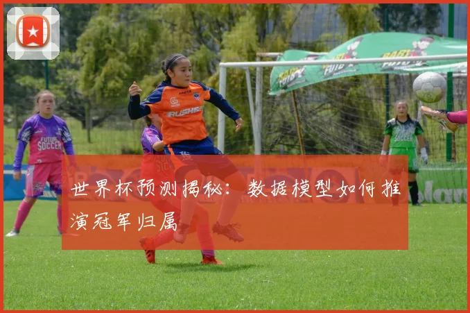 世界杯预测揭秘:数据模型如何推演冠军归属