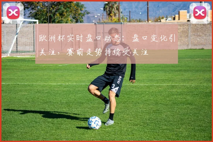 欧洲杯实时盘口动态:盘口变化引关注,赛前走势持续受关注