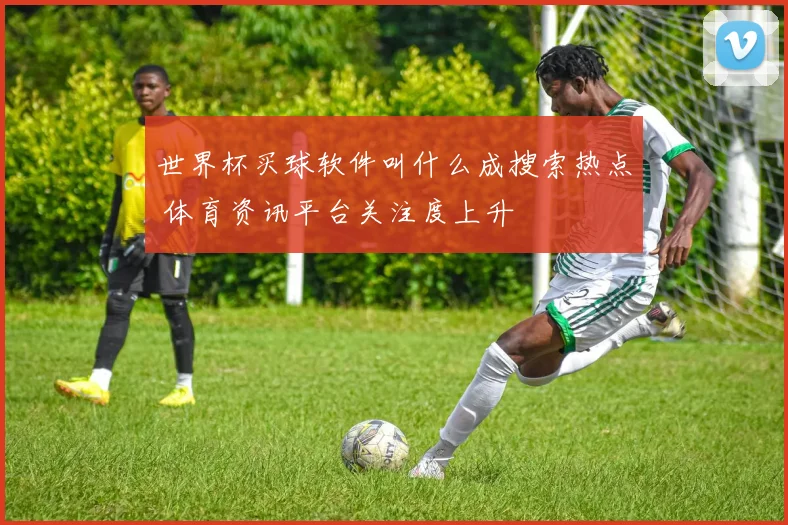 世界杯买球软件叫什么成搜索热点 体育资讯平台关注度上升