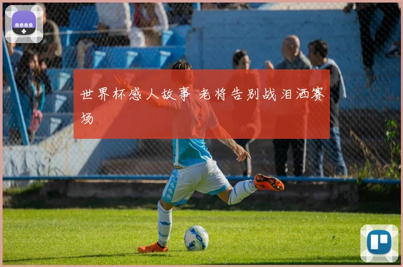 世界杯感人故事 老将告别战泪洒赛场